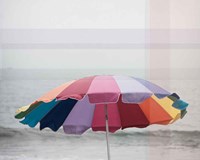 Shady VI Fine Art Print