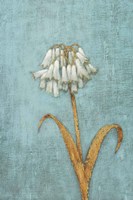 Shimmering Summer II Fine Art Print