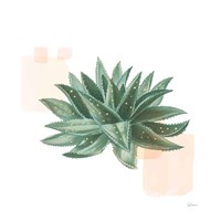 Desert Color Succulent II Fine Art Print