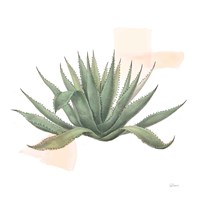 Desert Color Succulent I Fine Art Print