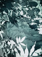 Abstract Leaves Fine Art Print