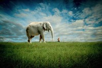 Elephant Follow Me Fine Art Print