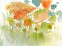 Summer Profusion Fine Art Print