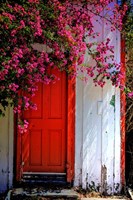 Red Door Fine Art Print