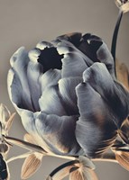 Baroque 3 Fine Art Print