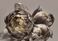 Baroque 4 Fine Art Print