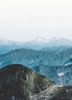 Bishop 15 Fine Art Print