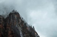 Bishop 5 Fine Art Print