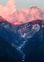 Bishop 6 Fine Art Print