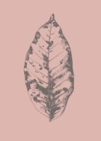 Botanica 1 Fine Art Print