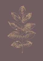 Botanica 2 Fine Art Print