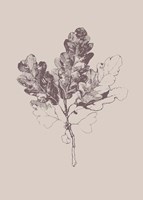 Botanica 3 Fine Art Print