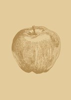 Botanica 4 Fine Art Print