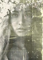 Eyes of Light Fine Art Print