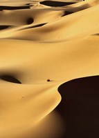 In the Dunes 1 Fine Art Print