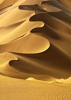 In the Dunes 2 Fine Art Print