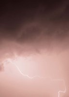 Lightning Pink Fine Art Print