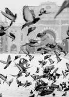 Moscow Fine Art Print