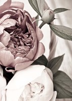 Opulent 2 Fine Art Print