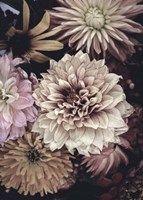 Opulent 5 Fine Art Print