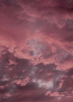 Pink Sky Fine Art Print