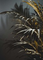 Secret 8 Fine Art Print