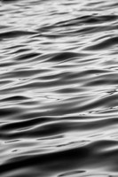 Surface Fine Art Print