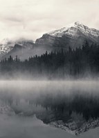 The Great Escape Fine Art Print