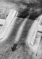 The Passing Fine Art Print