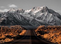 The Road 1 Fine Art Print