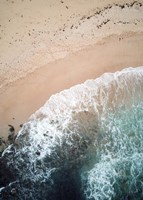 The Shore Fine Art Print