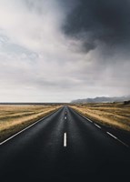 The Way Out Fine Art Print