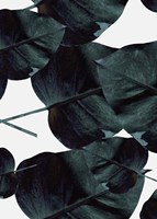 Tropic Sensation Fine Art Print