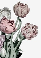 Tulips Bright Fine Art Print