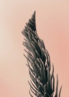 Upwards 1 Fine Art Print