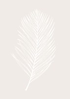 White Leaf Fine Art Print