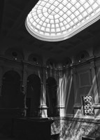 Window Light Fine Art Print