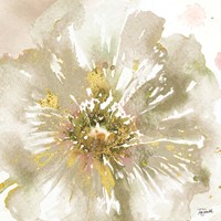 Neutral Watercolor Poppy Close Up I Framed Print