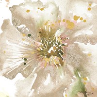 Neutral Watercolor Poppy Close Up II Fine Art Print
