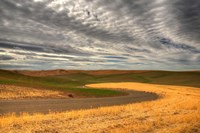 Yin Yang Fine Art Print