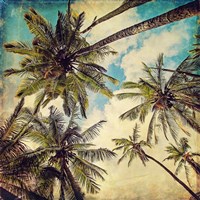 Kauai Island Palms Fine Art Print