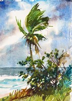 Ocean Breeze Fine Art Print