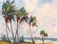 Six Palms Fine Art Print