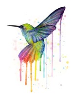 Rainbow Hummingbird Fine Art Print