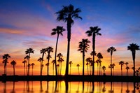 Prelude Fine Art Print