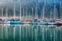 Hout Bay Harbor, Hout Bay South Africa Fine Art Print