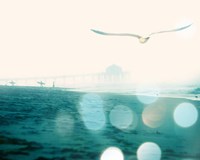 A New Day Fine Art Print