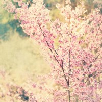 Oh To Be a Bumblebee No. 2 Fine Art Print