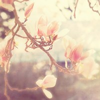 Sunshine Smile Fine Art Print