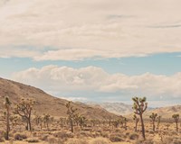 Untitled No. 10 Fine Art Print